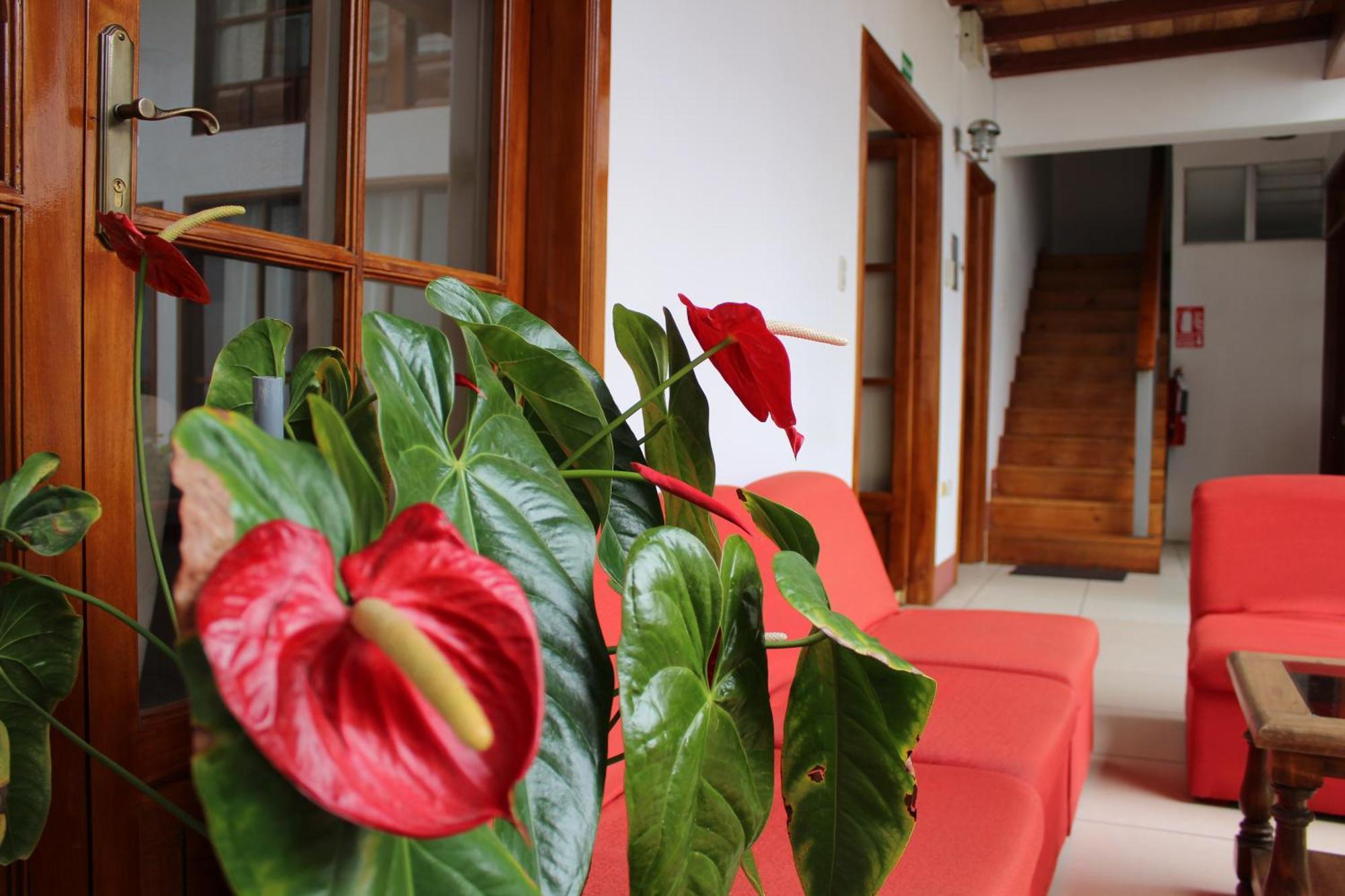 Ferienwohnung Casa Pablo Cajamarca Exterior foto
